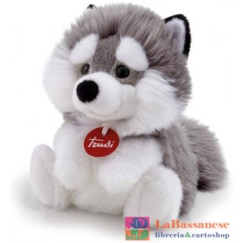 FLUFFY HUSKY S CM.17X19X18...