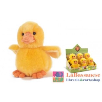 QUACK PAPERA H.18 CM. - 05243