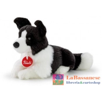 BORDER COLLIE SCOTT S...