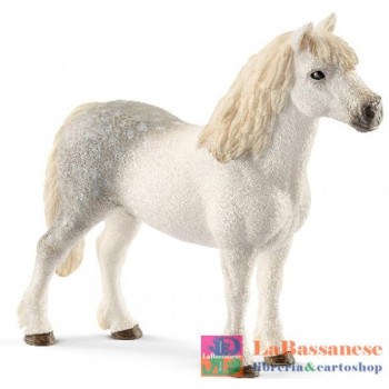 STALLONE WELSH PONY (SERIE...