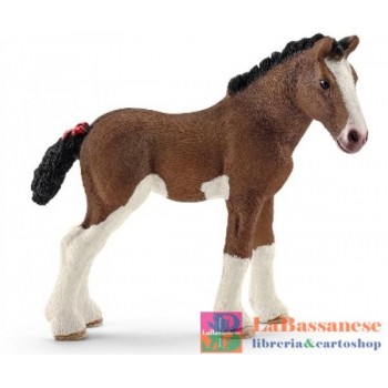 PULEDRO CLYDESDALE (SERIE...