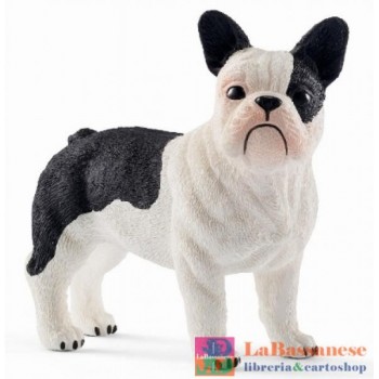 BULLDOG FRANCESE (SERIE...