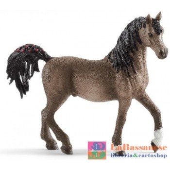 STALLONE ARABO (SERIE HORSE...