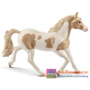 GIUMENTA PAINT HORSE (SERIE...