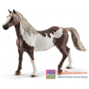 CASTRONE PAINT HORSE (SERIE...