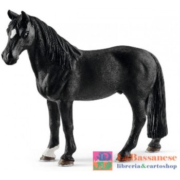 CASTRONE TENNESSEE WALKER...