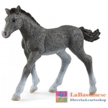 TRAKEHNER FOAL (SERIE HORSE...