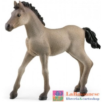 CRIOLLO DEFINITIVO FOAL...