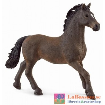 OLDENBURGER STALLION (SERIE...