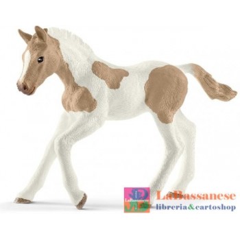 PULEDRO PAINT HORSE (SERIE...