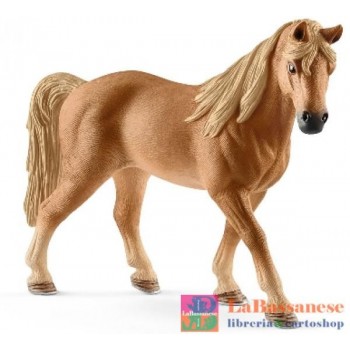 CAVALLA TENNESSEE WALKER...