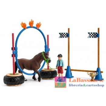 GARA DI AGILITY PONY (SERIE...